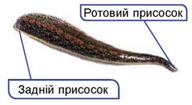 image267.jpg