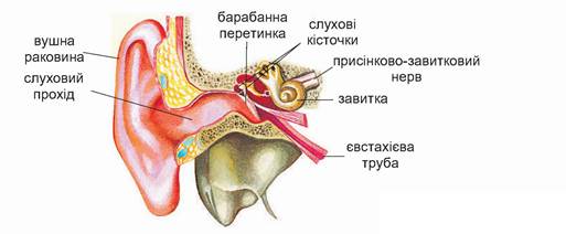 image298.jpg