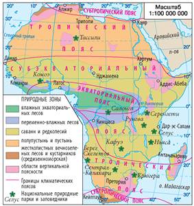 Природные зоны Африки - Учебник по Географии. 7 класс. Довгань - Новаяпрограмма