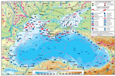 Черное море - Учебник по Географии. 8 класс. Довгань - Новая программа