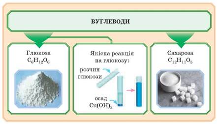 Растение выделяющее сахар