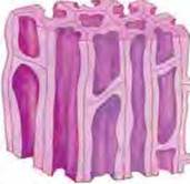 image104.jpg
