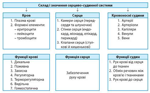 Узагальнення теми 4. Транспорт речовин - Підручник з Біології. 8 клас. Соболь - Нова програма