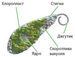 image432.jpg