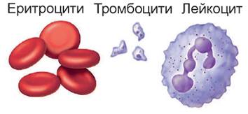 Внутрішнє середовище організму. Кров. Лімфа - Біологія (Н54.1–Н54.2). Частина 1. 8 клас. Соболь